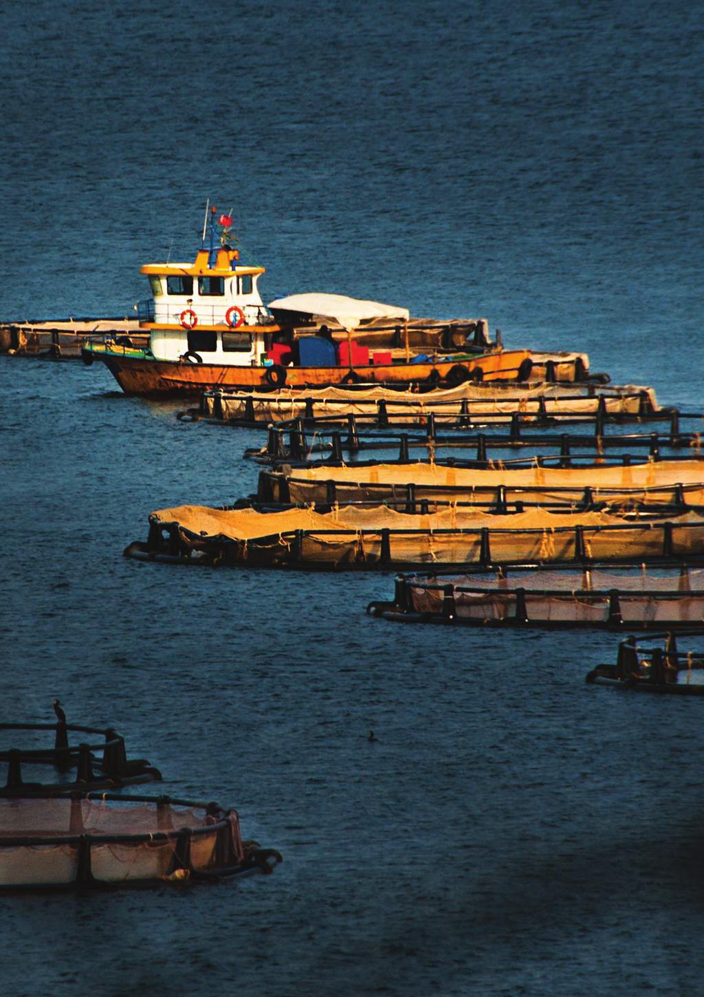 HİBE KONULARI Yerel Ürünlerin ve Mikro İşletmelerin Geliştirilmesi Kırsal Turizm Kültür Balıkçılığının Geliştirilmesi HARCAMA LİMİTLERI (Avro) 10.000-400.