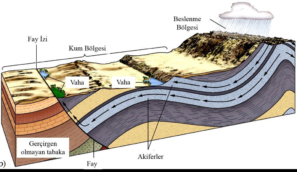 Vaha...Serap veya Jeoloji? Kıvrımlı akiferler ve faylar vaha oluşumuna sebep olabilir.