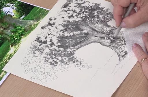com/new-articles/6-waysspruce-landscape-pencil-drawings Aydınger kağıt (80-200g) Aydınger kağıdı; parlak yüzeyli, yarı saydam, beyazımsı açık gri renkte,
