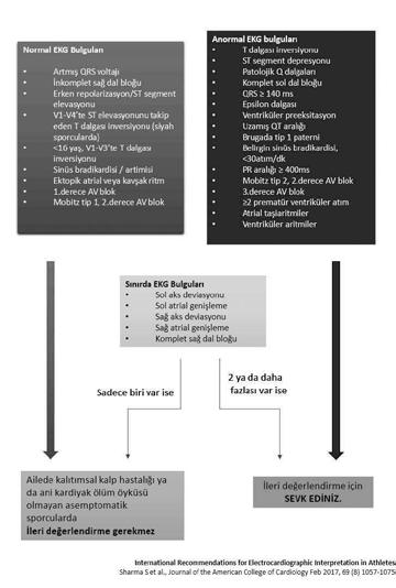 Sporcularda görülen normal ve anormal EKG bulguları ve