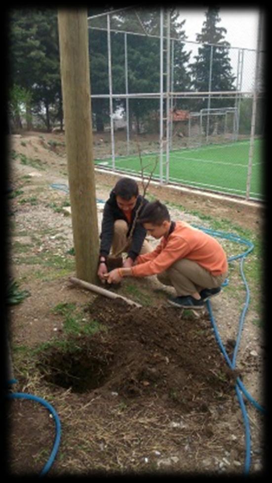 gerçekleştirildi.