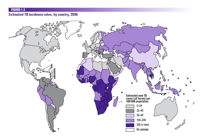 Tüberküloz insidansı 139 / 100