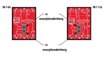 Gerilim ve Akım Girişi Besleme Koruma Devresi Çıkış Konfigürasyonu Çıkış cevap zamanı Durum göstergeleri Gövde yapısı Çevresel değerler Montaj Vibrasyon Direnci IM-T-9A Nitelikler 24 V DC, ±%15,