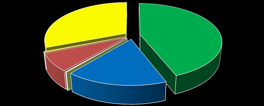 Grafik 6: 2017 Yılı Türkiye Dikişli Çelik Boru İthalatının Ürün Çeşitlerine Göre Dağılımı KONSTRÜKSİYON BORU VE PROFİLLERİ 31,0% BÜYÜK ÇAPLI BORU 44,1% BASINÇLI BORULAR 0,4% SANAYİ BORULARI 7,4%