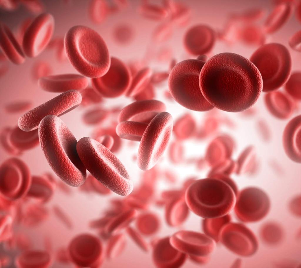TRANSFÜZYON SETİ TRANSFUSION SET Kan verme setleri, hastaya kanı ölçülü ve kontrollü bir şekilde verebilmek için kullanılmaktadır. Temas ettiği sıvı hayati olduğu için ürünün kalitesi çok önemlidir.