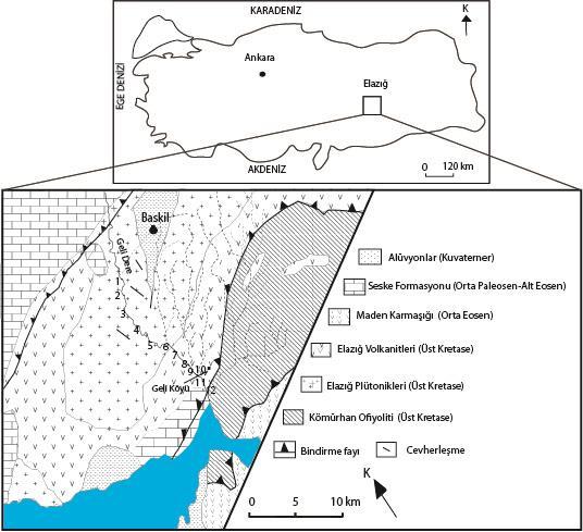 Geli Dere (Baskil-Elazığ) Çevresindeki Verbascum euphraticum L.