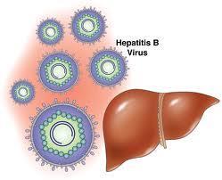 3.5.3. HBs Ag (Hepatit B Virüs Yüzey Antijeni) Lab.