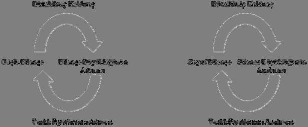 Journal of Economics, Finance& Accounting JEFA (2015), Vol.2(4) Terzioglu & Demir 1.