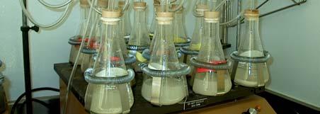 Pirit oksidasyon deneyleri, biyolojik ve kimyasal olmak üzere aerobik ve anaerobik koşullar altında gerçekleştirilmiştir.
