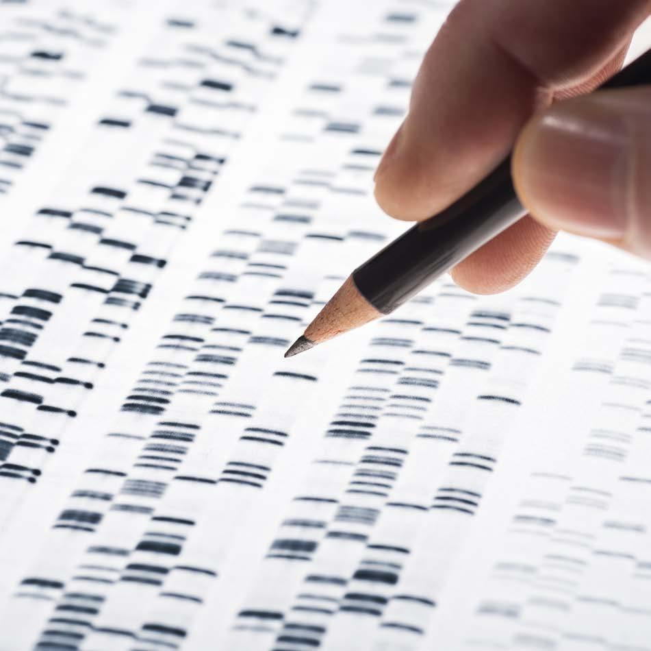 Daha Fazla Bilgi Daha Etkili Sonuç DNAsante size vücudunuz ile ilgili en kritik bilgileri sunuyor.