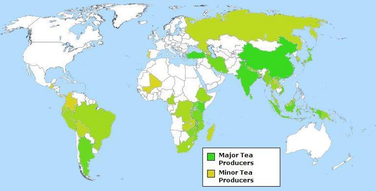 Türk çayının dünyaya tanıtılması çalışmaları yapılmalıdır. Dünyanın en doğal çayının üretildiği çeşitli fuar ve organizasyonlarla anlatılmalıdır. 2.10.