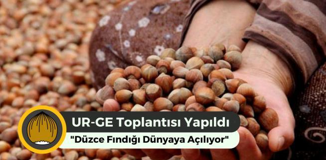 Fındıkta dış ticaretin geliştirilmesi amacıyla geliştirilmiş olan Düzce Fındığı Dünyaya Açılıyor projesiyle ilgili olarak Uluslararası Rekabetçiliğin Geliştirilmesinin Desteklenmesi (UR-GE) ihtiyaç