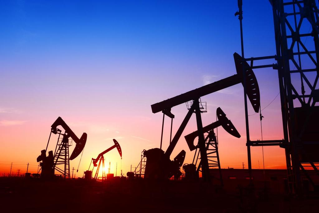 Fiyat riski Şirket in operasyonel karlılığı ve operasyonlarından sağladığı nakit akımları, piyasalardaki petrol fiyatlarının değişiminden etkilenmekte olup petrol fiyatlarının Şirket in nakit bazlı