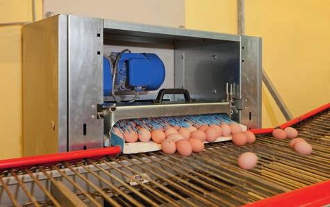 YUMURTA TOPLAMA EggSort Hassas yumurta toplaması için masa EggSort; yumurta toplama sürecinde maksimum akıcılığı sağlar, çünkü hemen hemen hiç aktarma noktası
