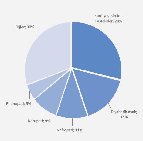 Maliyeti 26% Diğer 77% 74%