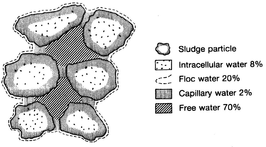 Fig. Schematic diagram of a sludge floc showing the association of the sludge particles with the available water (BIOLOGY OF WASTEWATER TREATMENT