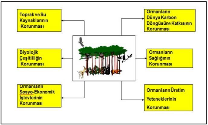 Pan-Avrupa Süreci