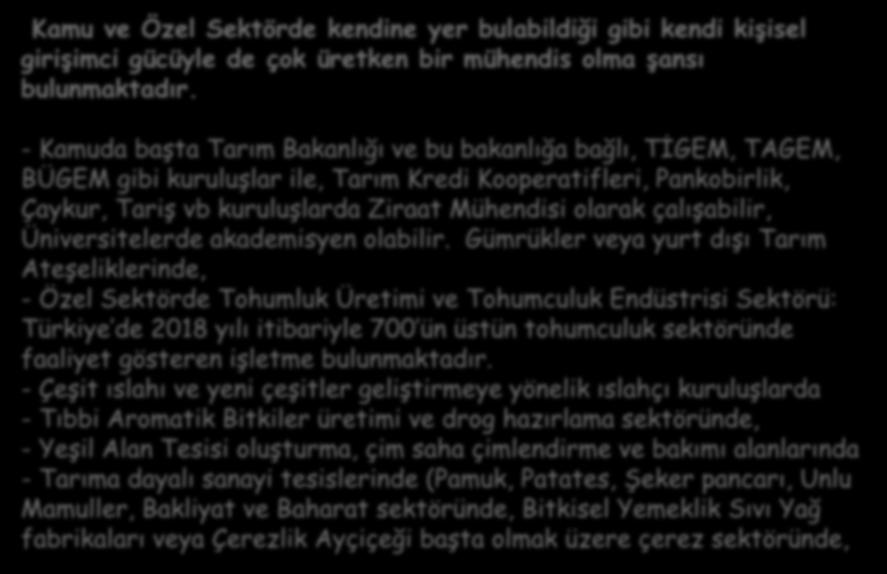 Kamu ve Özel Sektörde kendine yer bulabildiği gibi kendi kişisel girişimci gücüyle de çok üretken bir mühendis olma şansı bulunmaktadır.