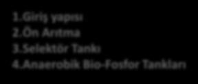 Ön Arıtma 3.Selektör Tankı 4.Anaerobik Bio-Fosfor Tankları 8 5.