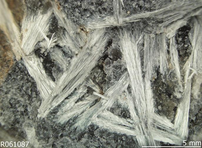 Antofillit kristalleri uzun prizmatik, yapraksı bir şekil gösterir ve kayaçlar içinde paralel demet şeklinde veya ışınsal bir dizilim gösteren agregatlar halinde bulunurlar; az da olsa lifsel yapı da