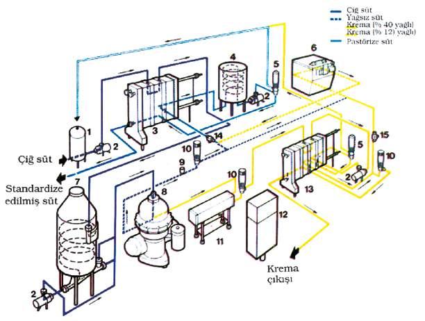 GIDA VE HİJYENİK UYGULAMALAR 1) Balans tankı 2) Santrifüj pompa 3) Plakalı ısı değiştirici 4) Bekletme tankı 5) Dönüş vanası 6) Homojenizatör 7) Deaeratör 8) Separatör 9) Basınç regülatörü 10)