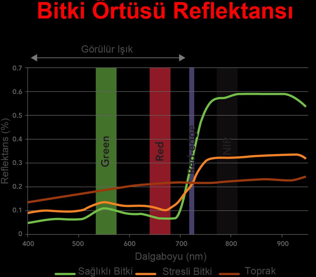 4 x monokrom sensör Piksel boyutu: 3.75 μm Odak uzaklığı: 3.