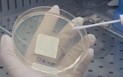 Kullanılacak mikroorganizma süspansiyonları hazırlanır. Bakteriler için sodyum klorür pepton buffer içerisine 1,5x10 8 cfu/ml (McFarland 0,5) olacak şekilde çözeltisi hazırlanırken, A.