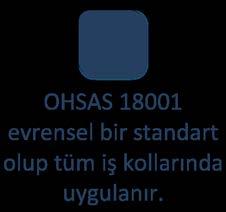 İş Sağlığı ve Güvenliği Yönetim Sistemlerinin Gelişimi Şekil 4.8.