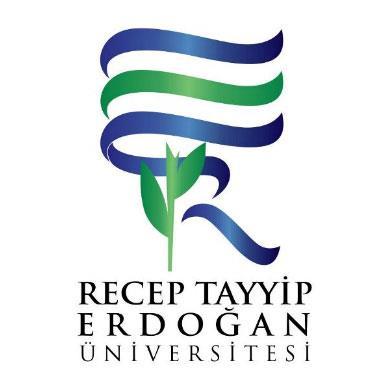 RECEP TAYYİP ERDOĞAN ÜNİVERSİTESİ 2017 MALİ YILI