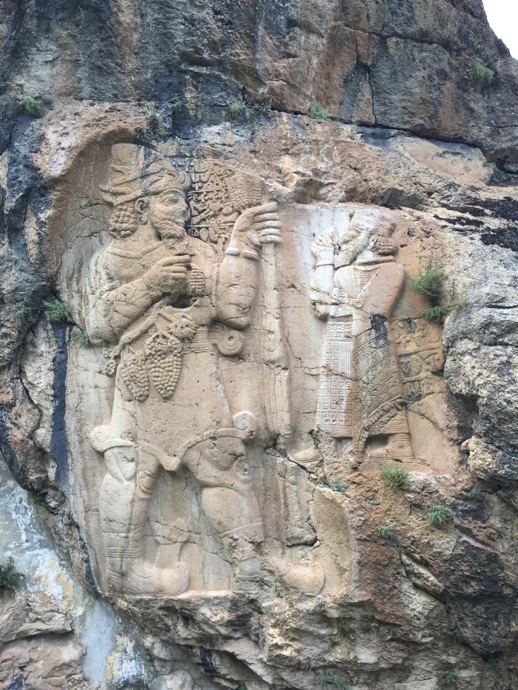 Anadolu, asmanın ve bağcılık kültürünün kökeni olan türün (Vitis sylvestris) en önemli gen