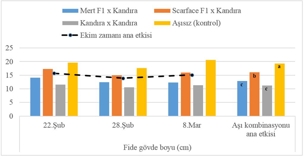 Şekil 4.2. Fide gövde boyu Fide gövde boyu/yaprak sayısı oranı aşısız bitkilerde 3,24 olurken kendi üzerine aşılananlarda 1,86 olarak kaydedilmiştir.