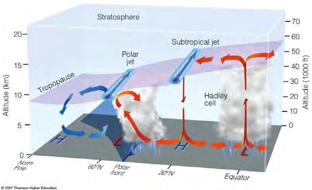 Hava Kütleleri ve Cepheler Kutuplardan ani kopmalarla gelen soğuk hava ile aynı yönde olduğu için soğuk cephenin ilerleme hızı sıcak