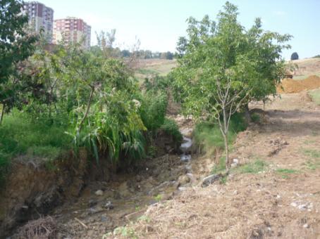 22-) İlimiz Atakum İlçesi, Raylı Sistem Güzergahı Projesi yanında olup imar planında Büyükşehir Belediye Hizmet Alanına isabet etmekte olan Tapuya Atakum Mahallesi nde kayıtlı ada ve parsellerdeki