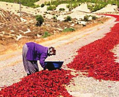 7 kitapta ele alınması mümkün olmadığından bazıları ele alınacaktır. 7.