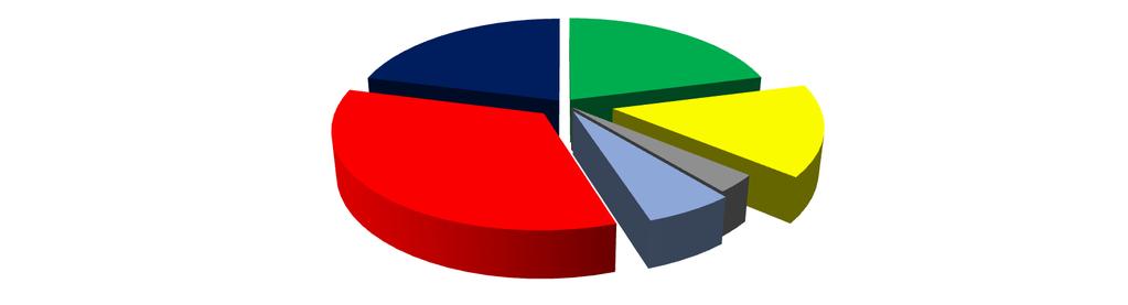 Presler ve Diğer Makinalar 35 34 Parça ve Komponentler 19 21 Toplam 100 100 Tablo 12: Plastik İşleme Makineleri İç Pazar Satışları Dağılımı (%- Milyon $ ) Parça ve Komponent 21% Enjeksiyon 21%