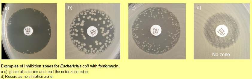 Disk diffüzyon değerlendirme 23mm D > 24 mm R D D D R