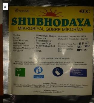 3.1.2.1. Shubhodaya VAM: Shubhodaya 3 farklı Glomus mikoriza mantarının konsorsiyumudur. Bu türler saftır ve genetik olarak modifiye edilmemiştir.