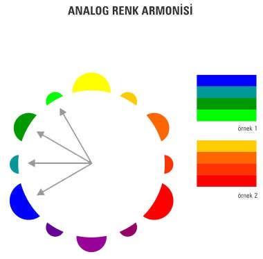 5: Tek Renk Armonisi Analog Renk Armonisi: Renk çemberinde birbirine komşu olan renklerin tercih edilmesiyle gerçekleştirilen renk armonisidir.