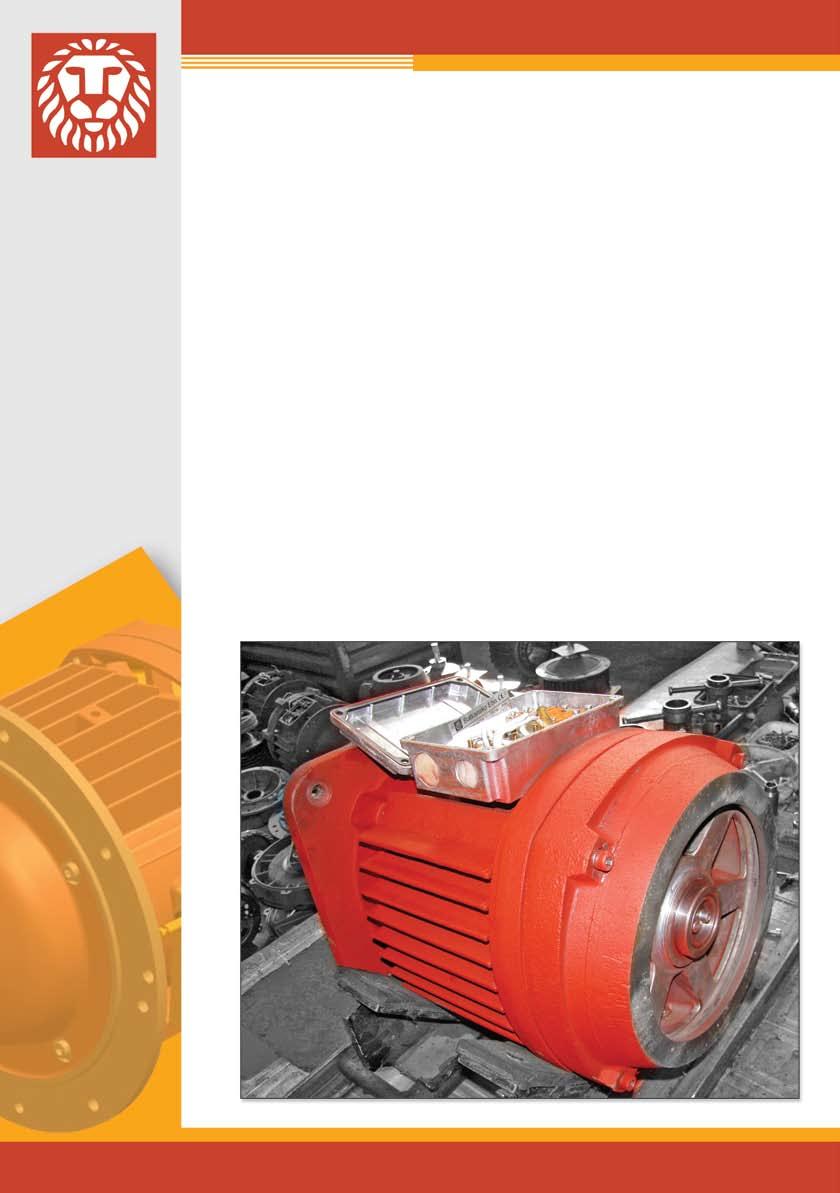 Frenli Elektrik motorları Seri КKЕ, АККЕ- Ex Ex d IIB T5; Ex d IIC T5 siparişinde Patlamadan koruyan