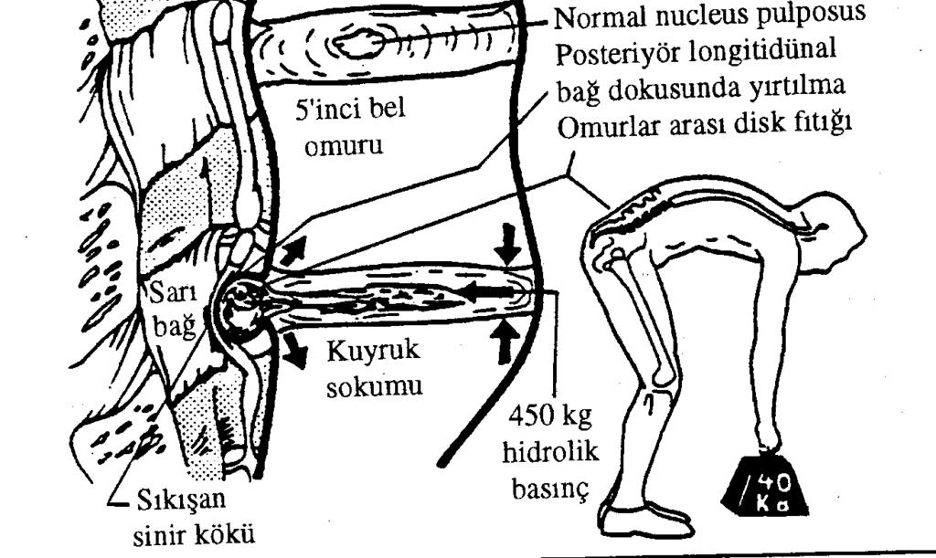 araştırmalar yapılmaktadır.