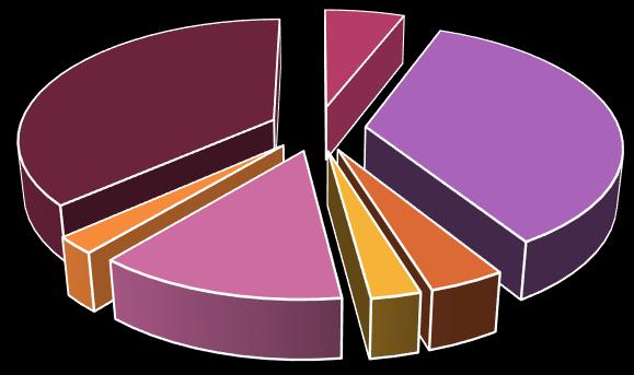 2% 13% 3% 4% Gıda Diğer