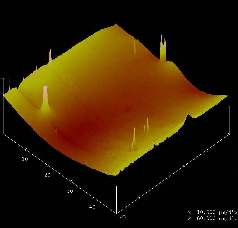 testi öncesi AFM görüntüsü Resim 22.