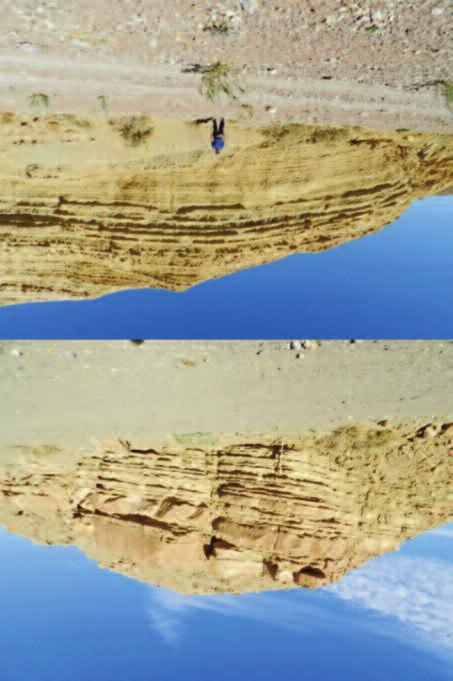 Riftin of the Red Sea and Stratigraphc evolution of Midyan Basin tabakalı, iri-çok iri taneli, çok iyi boylanmış ve gevşek çimentolu kumtaşlarından yapılmıştır ve çok iyi rezervuar özelliklerine