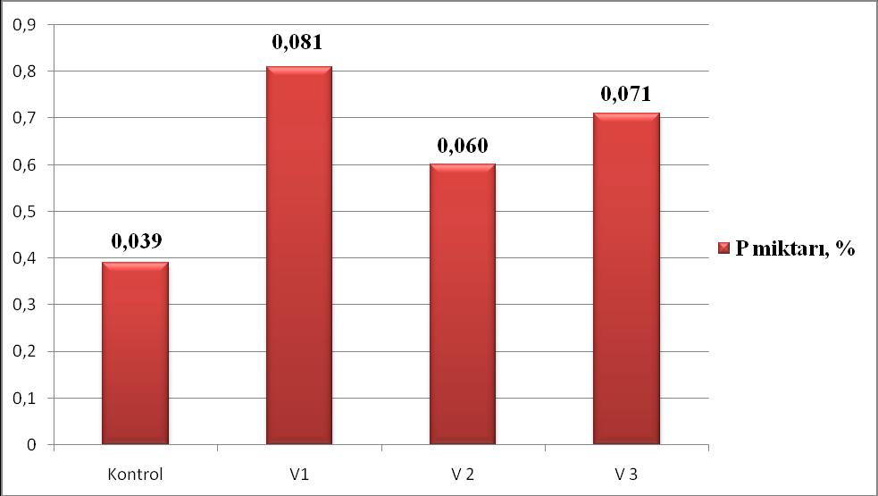 Şekil 4.6. Bitki örneklerinin fosfor içerikleri 4.3.