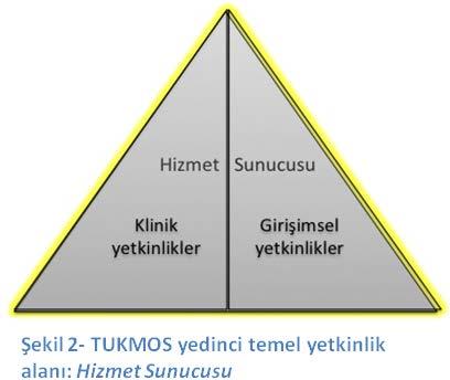 Klinik Yetkinlik: Bilgiyi, kişisel, sosyal ve/veya metodolojik becerileri tıbbi kararlar konusunda kullanabilme yeteneğidir; Girişimsel Yetkinlik: Bilgiyi, kişisel, sosyal ve/veya metodolojik