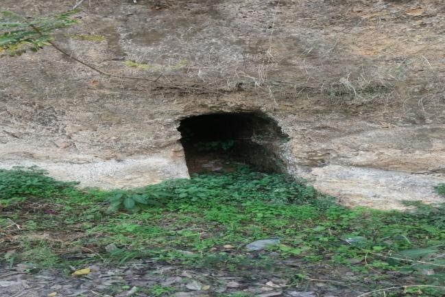 Adana Kültür ve Tabiat Varlıkları Kuruluna gönderilmiş ve gerekli çalışmalar yapılmıştır.