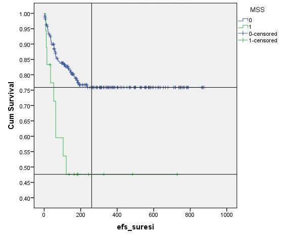MSS tutulumuna göre 5 yıllık EFS