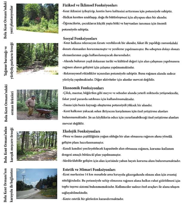 Uzman Perspektifinden Bolu Kent Ormanı nın Çok Fonksiyonlu Kullanım Özelliklerinin Değerlendirilmesi Üzerine Bir Araştırma festivalleri düzenlenmeli, çocuklarında sosyal olarak katılımı açısından