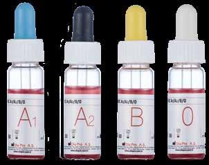 RBC A1/A2/B/O Serum/plazmada anti-a ve/veya anti-b