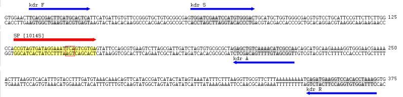 SİVRİSİNEK (Culex pipiens) VGSC geni 1014 pozisyonu BAĞLANTI POZİSYONU KDR F TCACCgACTTCATgCACTCA Forward 9-25 KDR S TggATCgAATCCATgTgggAC Forward 220-201 KDR R CTTTAggTgTggACCTTCATCTg Reverse